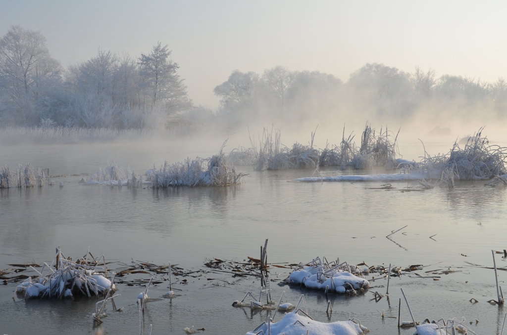 DSC_1659 DSC_1659