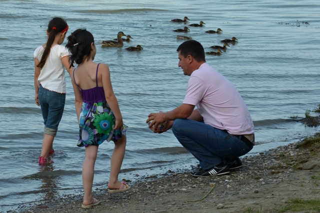 DSC_2578 DSC_2578