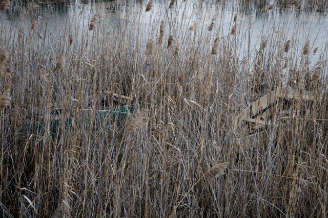 DSC_3794 DSC_3794