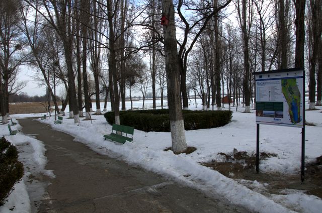 DSC_5237 DSC_5237
