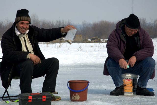 DSC_5479 DSC_5479