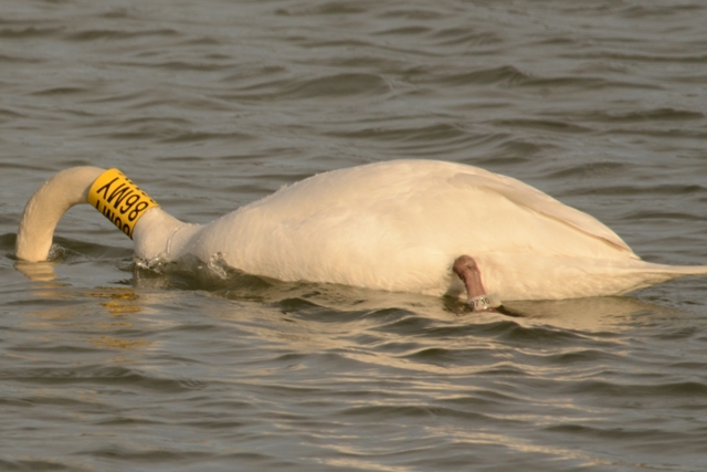 DSC_5746 DSC_5746