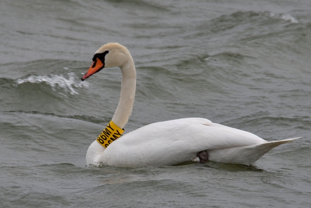 DSC_6182 DSC_6182