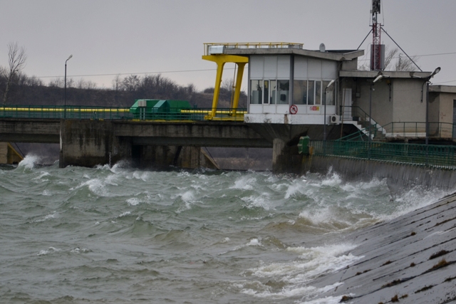 DSC_6242 DSC_6242