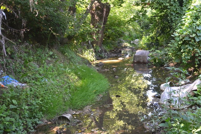 DSC_6789 DSC_6789