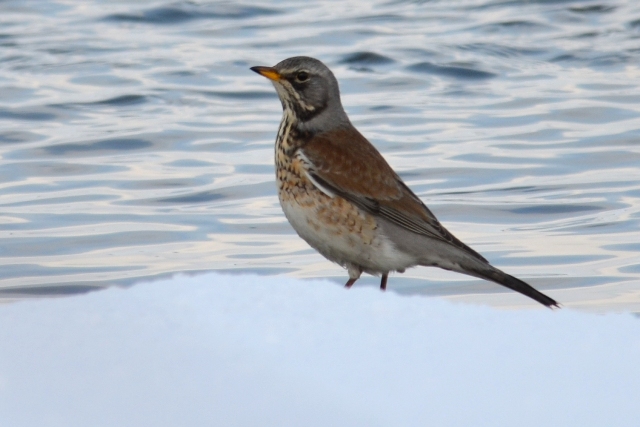 DSC_7880 DSC_7880