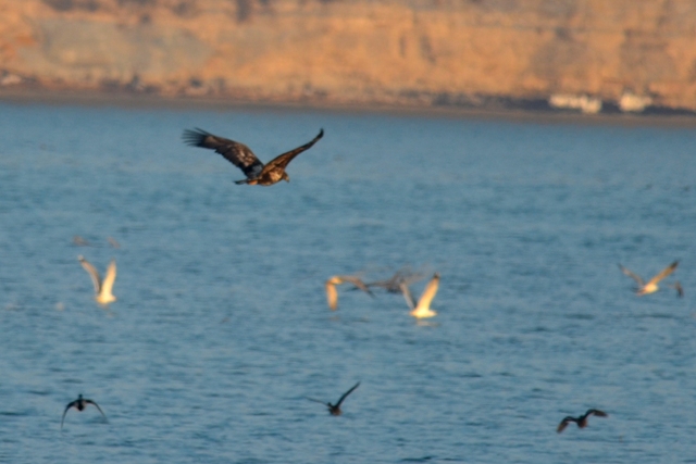 DSC_8312 DSC_8312