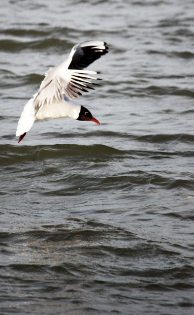 Drift Away around water Drift Away around water